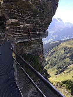 Paradiso-Tours: Skywalk Beverungen + Minigolf Bad Karlshafen