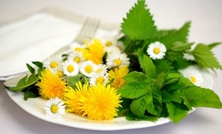 Leckere Sommerkr&auml;uter und Fr&uuml;chte - was w&auml;chst hier und kann man das essen?