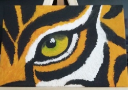 Malkurs Tigerauge