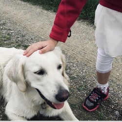 Keine Angst vorm gro&szlig;en Hund