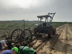 Kartoffelernte miterleben