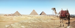 Botanischer Garten Altes &Auml;gypten