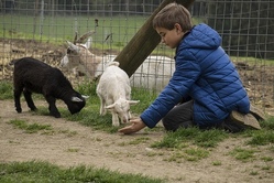 Familienfahrt Tierpark Th&uuml;le