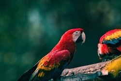 Ausflug in den Vogelpark Weilrod