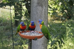 Ausflug in den Vogelpark Schotten