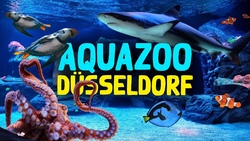 Tagesausflug Aquazoo D&uuml;sseldorf