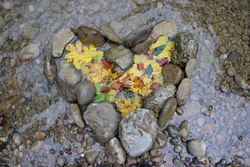 Land Art - kreativ mit Naturmaterialien