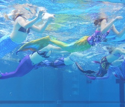 Meermaiding -Meerjungfrauenschwimmen 