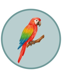Ausflug Vogelburg