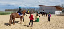 Pferde hautnah erleben in der Reitschule Anita Schwarz
