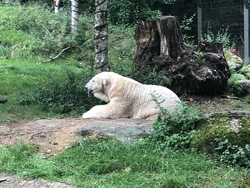 Besuch im Tierpark Hellabrunn