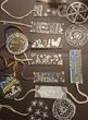 Kreativ-Werkstatt mit Acrylstiften malen