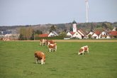 Vom Leben auf dem Bauernhof