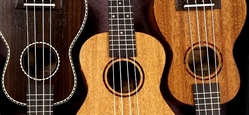Schnupperkurs Saiteninstrumente 