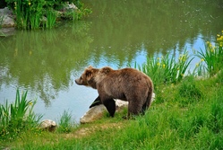 Ausflug zum Wildpark Poing