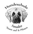 Besuch der Hundeschule AMADEO
