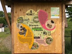 Lebensraum Biene (Wild.Biene - Fauna Flora)  (Imkerverein Bodelshausen)
