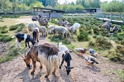 Fahrt in den Tierpark Beverstedt