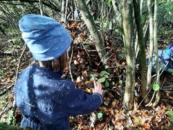 Spiele, Abenteuer & Kreativit&auml;t im Wald (6 - 9 Jahre)