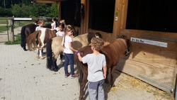 Pony Reiten 