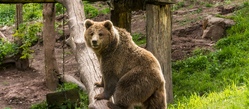 Ausflug zum Wildparadies Tripsdrill
