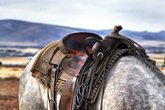 Kinder-Rodeo auf der Wild Bunch Ranch 