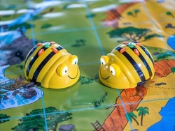  Bee-Bots: Roboter-Bienen Programmieren (2)