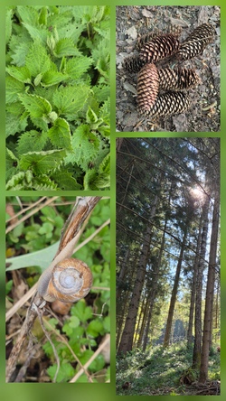Spiel&Spa&szlig; in Wald und Natur
