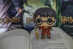 Harry Potter Marathon KLEIN