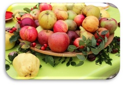 Streuobstwiesen-Tag: Apfelsaft selbst herstellen