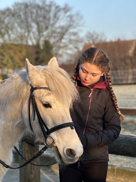 Reitkurs f&uuml;r Anf&auml;nger und Fortgeschrittene &uuml;ber 5 Tage