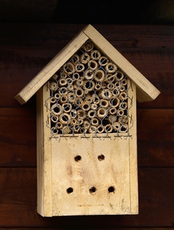 Wir bauen ein Insektenhotel