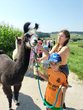 Lamatrekking