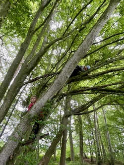 Wildnis im Sommer