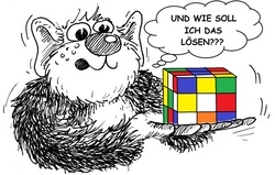 Rubik&rsquo;s Cube - der Zauberw&uuml;rfel f&uuml;r Anf&auml;nger ab 8 Jahren mit Vorkenntnissen (eine Seite solltest Du schaffen)