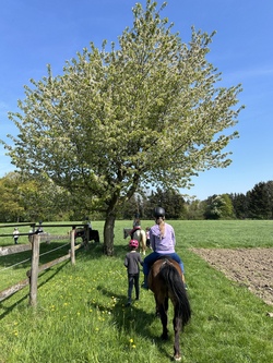 Erlebnis Ponyhof