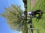 Erlebnis Ponyhof