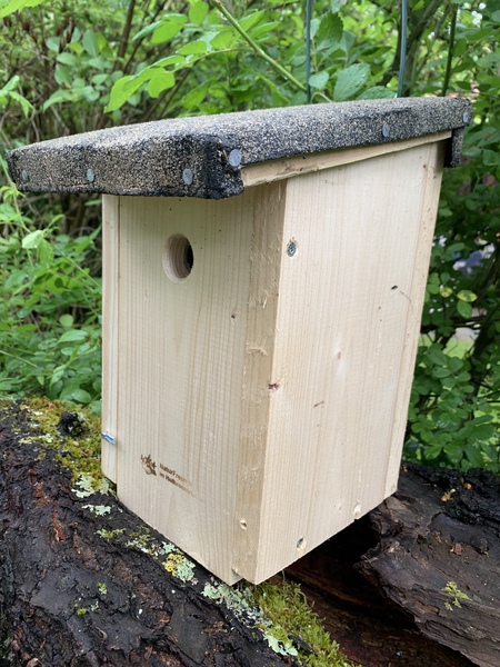 Wir bauen einen Vogelnistkasten