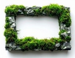 Basteln eines Bilderrahmens aus Naturmaterialien