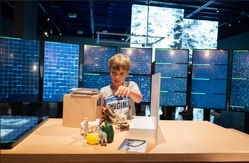 ARS Electronica