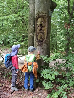 Woche 1: Waldstreuner unterwegs