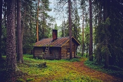 Waldtag mit dem Bergheimer B&uuml;rgermeister