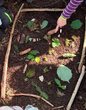 Entdeckungsreise durch Wald und Wiese