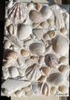 Strukturkunst auf der Leinwand