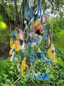 Farben der Natur - Augenweide und gesunder Genuss