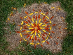 Waldtag