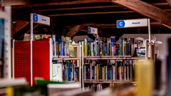 Hinter den Kulissen der B&uuml;cherei