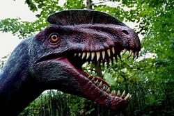 Fahrt in den Dinopark M&uuml;nchehagen