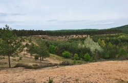 Sandd&uuml;nentour - erlebt eine Landschaft, die fast wie eine kleine W&uuml;ste wirkt