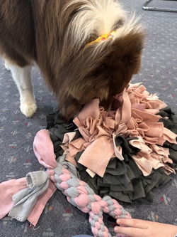 DIY: Hundespielzeug I